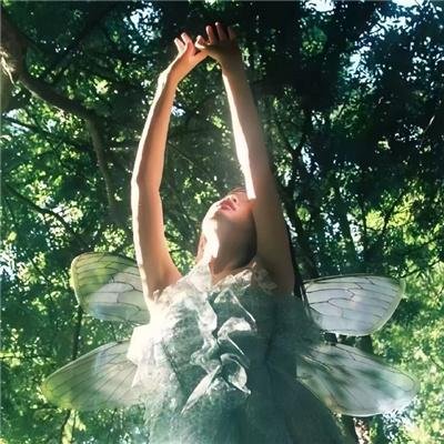 上海幻梦